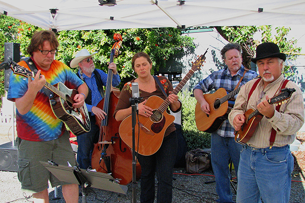 Musical Entertainment on the 2011 Home Tour.